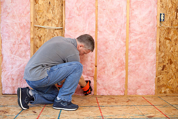 Best Types of Insulation in Lake Kerr, FL